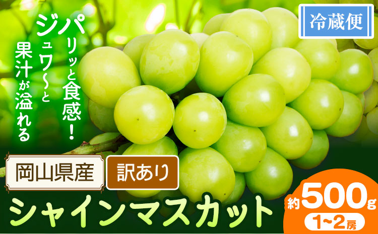 シャインマスカット訳あり 約500g(1~2房) 花田青果株式会社[9月上旬-10月末頃出荷]マスカット 送料無料 岡山県 浅口市 シャインマスカット ぶどう フルーツ 果物 贈り物 ギフト[配送不可地域あり]st-p