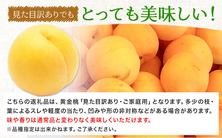 【令和7年度先行予約】桃 黄金桃 ご家庭用 1.4kg (4～6玉) フルーツファーム岡山《2025年8月中旬-9月下旬頃出荷》岡山県 浅口市 送料無料 フルーツ モモ 果物 青果 旬 国産 岡山県産【配送不可地域あり】