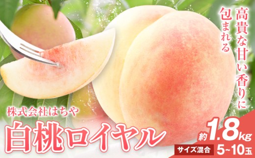 【先行予約】岡山白桃 等級 ロイヤル 約1.8kg《7月上旬‐8月下旬頃出荷》もも モモ 岡山 国産 フルーツ 果物 岡山県 浅口市 株式会社 はちや フルーツ モモ 果物 青果 旬 白桃 国産 岡山県産【配送不可地あり】