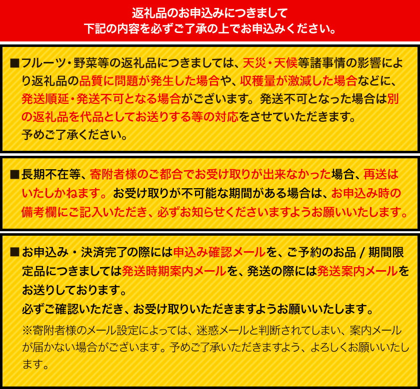 秀品 ニューピオーネ 約1.2kg 2房 葡萄 果物 秋旬 厳選出荷 スイーツ フルーツ デザート 岡山県 浅口市《9月中旬から11月上旬に発送予定(土日祝除く)》