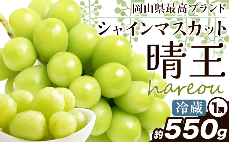 ぶどう [2025年先行予約] シャインマスカット 晴王 550g《2025年9月中旬-11月上旬頃出荷》ハレノスイーツ 岡山中央卸売市場店 マスカット 送料無料 岡山県 浅口市 フルーツ 果物 贈り物 ギフト 国産 【配送不可地域あり】