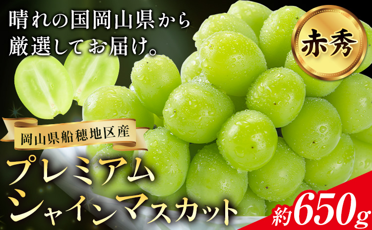 ぶどう 【2026年発送先行予約】プレミアム シャインマスカット 船穂 赤秀品 晴王 約650g《2026年9月中旬-10月中旬頃出荷》晴レ乃青果　(岡山中央卸売市場店(富士紙工 有限会社)) マスカット 送料無料 岡山県 浅口市 フルーツ 果物 贈り物 ギフト 国産 【配送不可地域あり】（北海道・沖縄・離島）