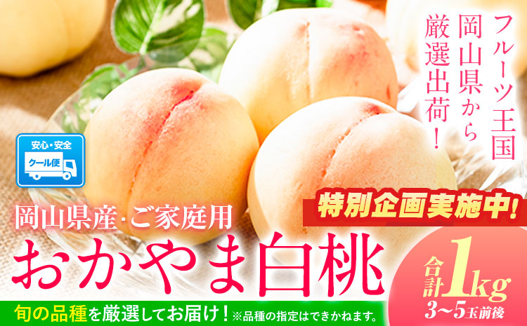 【特別企画】桃 おかやま白桃 もも 桃 1kg 3~5玉前後 岡山県産 ご家庭用《1－5営業日以内に出荷》岡山県 浅口市 厳選出荷 白桃  白鳳 清水白桃 おかやま夢白桃 川中島白桃 白皇 果物 フルーツa-8