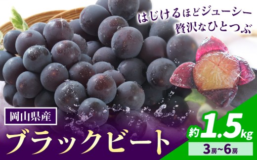【先行予約】岡山県産 ぶどう ブラックビート 計 1.5kg 3房 ～ 6房 株式会社 はちや《8月上旬-9月上旬頃出荷》岡山 国産 葡萄 フルーツ 果物 岡山県 浅口市 フルーツ 果物【配送不可地域あり】