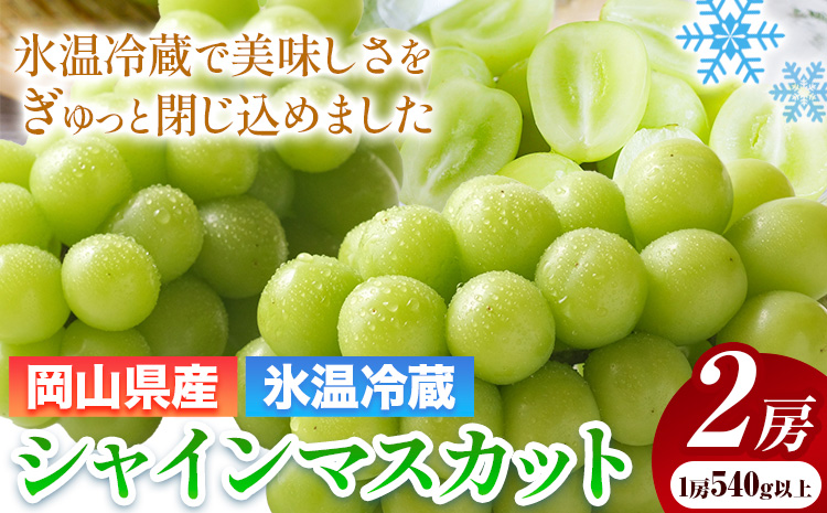 【先行予約】岡山県産 冷蔵 シャインマスカット 2房 (540g以上) 有限会社ホーティカルチャー神島《11月下旬-12月上旬頃出荷》岡山県 浅口市 マスカット ぶどう 葡萄 氷温冷蔵 果物 フルーツ【配送不可地域あり】