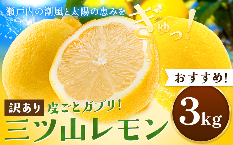 《先行予約》 訳あり 三ツ山レモン 3kg 三ツ山レモンファーム《12月下旬-3月中旬頃出荷》岡山県 浅口市 送料無料 れもん 檸檬 わけあり ワケあり お取り寄せ