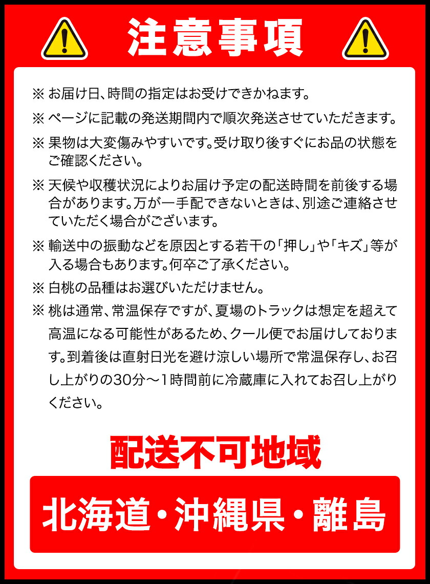 【2025年先行予約】岡山の厳選フルーツ 定期便2回コース 岡山の白桃 6玉(1.6kg以上) シャインマスカット 晴王 2房(1房600g以上) 化粧箱入り ギフト 贈答用 旬 フルーツ 果物 株式会社山博(中本青果) 《2025年7月上旬-8月下旬頃出荷》 岡山県 浅口市 送料無料 【配送不可地域あり】