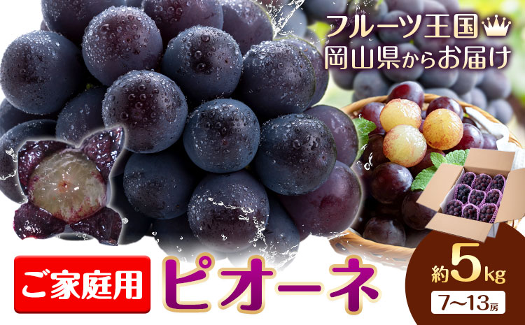 【2026年先行予約】ぶどう ご家庭用 ピオーネ 約5kg (7～13房) もりおか農園《2026年9月上旬-10月上旬頃出荷》岡山県 浅口市 送料無料 ぶどう フルーツ 果物 くだもの デザート おやつ【配送不可地域あり】