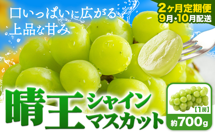 【2ヶ月定期便】ぶどう シャインマスカット 晴王 700g 1房 ハレノフルーツ(アストライ)《9月上旬-10月末頃出荷》岡山県 浅口市 送料無料 フルーツ 果物 マスカット お取り寄せフルーツ【配送不可地域あり】（北海道・沖縄・離島）