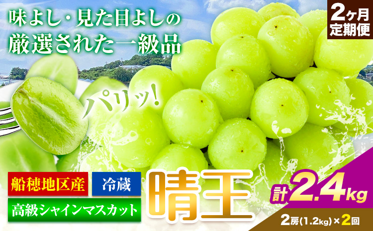 高級 シャインマスカット 2ヶ月 定期便 [2025年先行予約] ぶどう 晴王 2房 2.4kg 岡山県産 《9月上旬-10月末頃出荷(土日祝除く)》 ハレノフルーツ マスカット 送料無料 岡山県 浅口市 フルーツ 果物 贈り物 ギフト 国産 岡山県産【配送不可地域あり】（北海道・沖縄・離島）