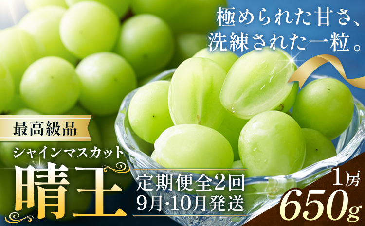 [2026年発送先行予約]シャインマスカット 晴王 2ヶ月 定期便 650g(1房)×2回お届け 最高級品 シャイン マスカット[2026年9月中旬-10月中旬頃出荷予定] 晴レ乃青果(岡山中央卸売市場店(富士紙工有限会社)) 送料無料 岡山県 果物 [配送不可地域あり]