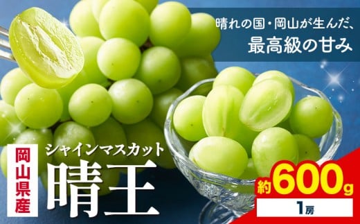 【先行予約】 岡山県産 シャインマスカット 晴王 600g 1房 株式会社はちや《7月上旬‐8月下旬頃出荷》岡山県 浅口市 ぶどう 葡萄 フルーツ ギフト 果物 デザート 国産【配送不可地域あり】