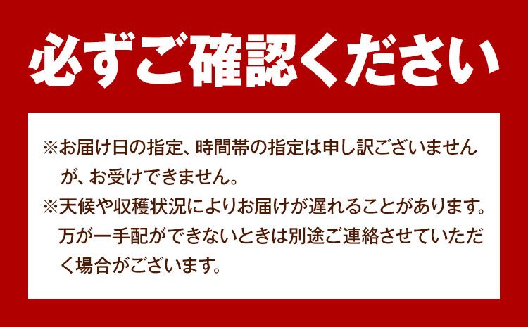 【2026年先行予約】 岡山の白桃 晩生種 大玉3玉 約900g 晴れの国 おかやま館(つむぐ株式会社) 《2026年7月下旬-8月下旬頃出荷》岡山県 浅口市 フルーツ モモ 果物 青果 旬【配送不可地域あり】（離島）