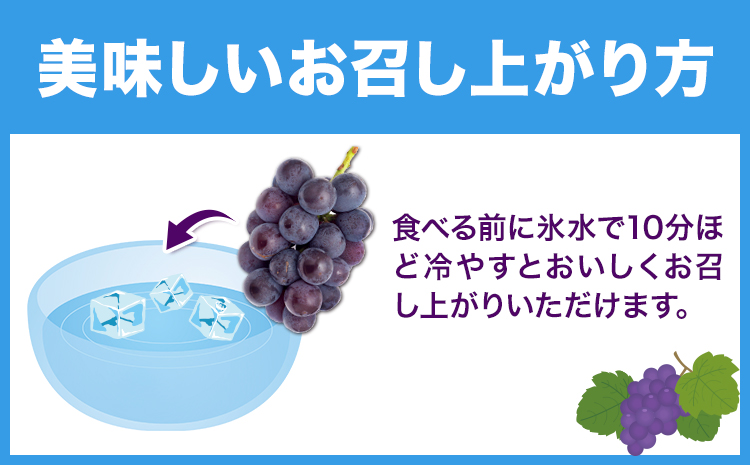 岡山çç£ ãã¥ãŒããªãŒã ãå®¶åºçš 1.2kg 2 ~ 3æ¿ ãã¬ãããšãã¡æ ªåŒäŒç€Ÿã8ææ«-10æäžæ¬é åºè·ãå²¡å±±ç æµ
å£åž ã¶ã©ã è¡è å€§ç² ææ± æç© ãã«ãŒã èš³ãã