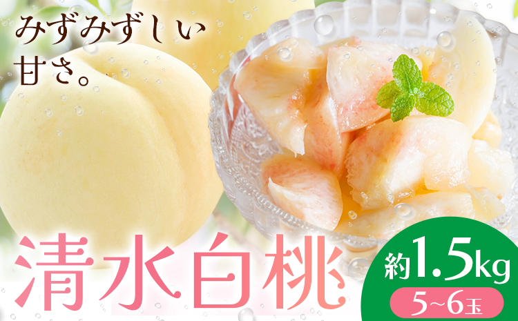 【先行予約】清水白桃  約1.5kg もも モモ 岡山 国産 フルーツ 果物 桃茂實苑《7月中旬-8月上旬頃出荷》岡山県 浅口市 フルーツ モモ 果物 青果 旬 白桃 国産 岡山県産【配送不可地域あり】