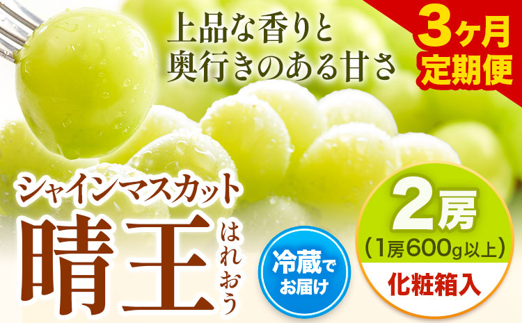 【2025年先行予約】【3ヶ月定期便】 シャインマスカット晴王 はれおう 2房入り(1房600g以上) 化粧箱入 株式会社山博(中本青果)《2025年8月・9月・10月計3回出荷予定》 定期 計3回お届け 岡山県 浅口市 ぶどう マスカット 大粒 フルーツ 秀品 果物 ギフト 送料無料 【配送不可地域あり】（北海道・沖縄・離島）