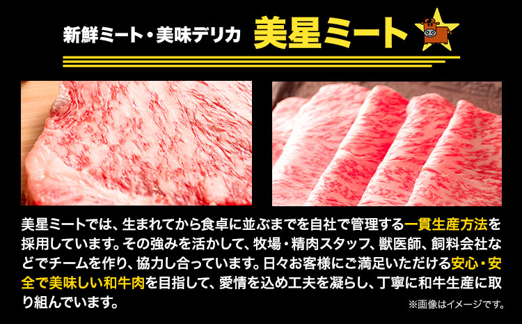 牛肉 サーロインステーキ 肉美星牛 約400g 200g × 2枚 美星ミート《30日以内に発送予定(土日祝除く)》岡山県 浅口市 肉 和牛 国産 牛肉 サーロイン ステーキ 400g 美星和牛 冷凍 送料無料