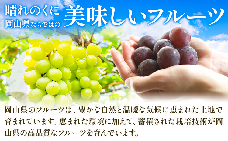 シャインマスカット【晴王】 岡山県産 5〜10房(計5kg以上)【先行予約】 株式会社Myself《2025年9月上旬-11月上旬頃出荷》マスカット 送料無料 岡山県 浅口市 ぶどう フルーツ 果物 贈り物 ギフト