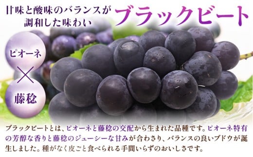 ãå
è¡äºçŽã岡山çç£ ã¶ã©ã ãã©ãã¯ããŒã èš 1.5kg 3æ¿ ïœ 6æ¿ æ ªåŒäŒç€Ÿ ã¯ã¡ãã8æäžæ¬-9æäžæ¬é åºè·ã岡山 åœç£ è¡è ãã«ãŒã æç© å²¡å±±ç æµ
å£åž ãã«ãŒã æç©ãé
éäžå¯å°åããã