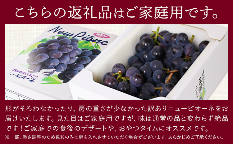 【先行予約】訳あり ぶどう ニューピオーネ ご家庭用 計2kg たけまさぶどう園 《2025年7月下旬-10月上旬頃出荷》岡山県 浅口市 送料無料 フルーツ 果物 岡山県産 青果物 お取り寄せフルーツ【配送不可地域あり】(離島)