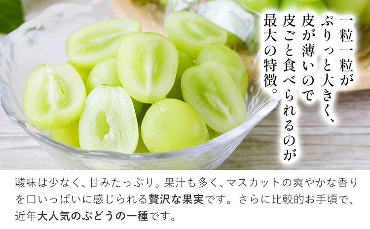 ãå
è¡äºçŽã岡山çç£ å·èµ ã·ã£ã€ã³ãã¹ã«ãã 2æ¿ (540g以äž) æéäŒç€ŸããŒãã£ã«ã«ãã£ãŒç¥å³¶ã11æäžæ¬-12æäžæ¬é åºè·ãå²¡å±±ç æµ
å£åž ãã¹ã«ãã ã¶ã©ã è¡è æ°·æž©å·èµ æç© ãã«ãŒããé
éäžå¯å°åããã
