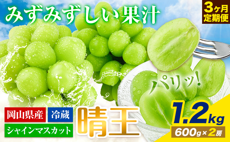 【2025年先行予約】ぶどう 3ヶ月 定期便 シャインマスカット 晴王 1.2kg（2房） 岡山県産《7月上旬-9月末頃出荷》 ハレノフルーツ マスカット 送料無料 岡山県 浅口市 フルーツ 果物 国産 岡山県産【配送不可地域あり】（北海道・沖縄・離島）