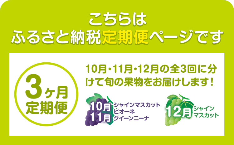 特選 大粒 ぶどう 詰め合わせ定期便 3回 3ヶ月定期便 シャインマスカット ピオーネ クイーンニーナ 株式会社日本植生グループ本社 NISSHOKU FARM《10月上旬-12月末頃出荷》ブドウ 送料無料 岡山県 浅口市 【配送不可地域あり】 (離島)