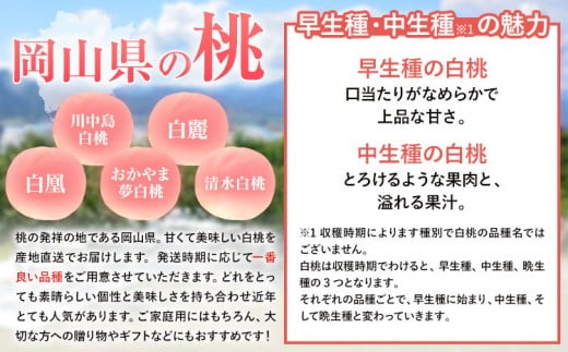 【先行予約】岡山白桃 等級 ロイヤル 約1.8kg《7月上旬‐8月下旬頃出荷》もも モモ 岡山 国産 フルーツ 果物 岡山県 浅口市 株式会社 はちや フルーツ モモ 果物 青果 旬 白桃 国産 岡山県産【配送不可地あり】