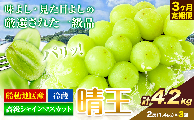 高級 シャインマスカット 3ヶ月 定期便 [2025年先行予約] ぶどう 晴王 2房 4.2kg 岡山県産 《9月上旬-11月末頃出荷(土日祝除く)》 ハレノフルーツ マスカット 送料無料 岡山県 浅口市 フルーツ 果物 贈り物 ギフト 国産 岡山県産【配送不可地域あり】（北海道・沖縄・離島）