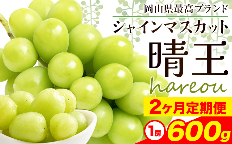 シャインマスカット 晴王 岡山県産 定期便 2ヶ月 9月・10月発送 [2025年先行予約]《9月中旬-10月末頃出荷(土日祝除く)》1房 600g ハレノスイーツ 岡山中央卸売市場店 岡山県 浅口市 【配送不可地域あり】