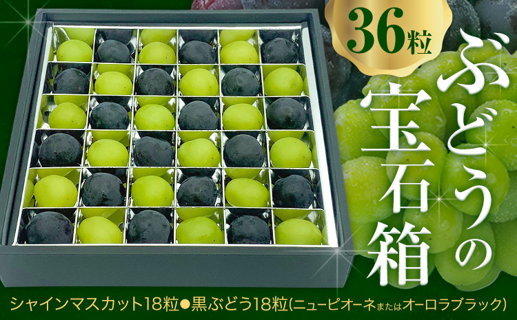 【先行予約】ぶどうの宝石箱 1箱 36粒 たけまさぶどう園 《2025年8月上旬-10月中旬頃出荷》岡山県 浅口市 シャインマスカット ニューピオーネ オーロラブラック フルーツ 果物 くだもの ぶどう マスカット 国産 岡山県産 【配送不可地域あり】（離島）