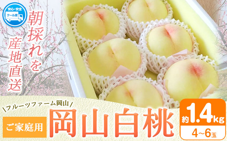 【2026年先行予約】桃 旬 岡山白桃 旬の桃 ご家庭用 1.4kg (4〜6玉) フルーツファーム岡山《2026年6月下旬-8月下旬頃出荷》岡山県 浅口市 送料無料 フルーツ モモ 果物 青果 旬 国産 岡山県産【配送不可地域あり】（離島）