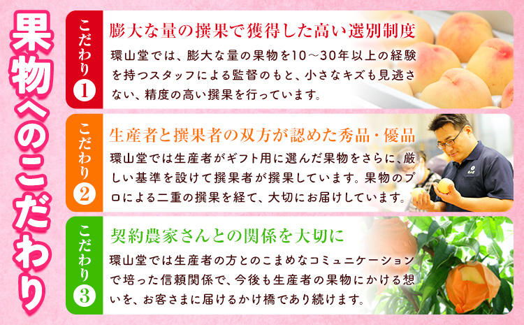 【2026年先行予約】桃 もも 岡山白桃 8〜10玉 約2kg 岡山県産 環山堂株式会社《2026年7月上旬-8月上旬頃出荷》岡山県 浅口市 白桃 果物 フルーツ 送料無料 【配送不可地域あり】（北海道・沖縄・離島）