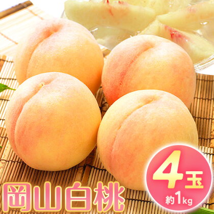 [2026年先行予約]桃 もも 岡山白桃 4玉 約1kg 岡山県産 環山堂株式会社[2026年7月上旬-8月上旬頃出荷]岡山県 浅口市 白桃 果物 フルーツ 送料無料st-p