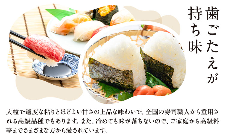 令和7年産 岡山県産 朝日米 精米 9kg 株式会社 一所懸命農園 岡山県 浅口市《30日以内に出荷予定(土日祝除く)》精米 米 あさひ 白米 送料無料