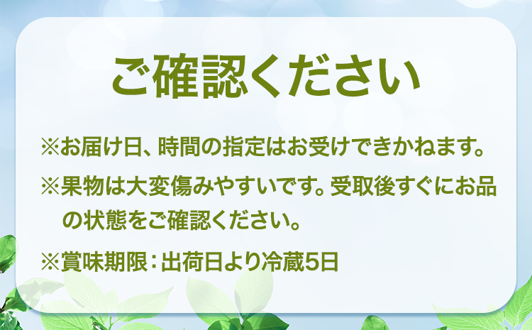 【先行予約】シャインマスカット ＆ ニューピオーネ 各１房 計約1.2kg《9月中旬-10月上旬頃出荷》テレビせとうち株式会社 冷蔵 果物 ブドウ 送料無料 岡山県 浅口市 シャインマスカット【配送不可地域あり】