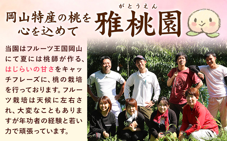 【2026年先行予約】ご家庭用 旬の桃 約1.2kg ( 4~6玉前後 ) 株式会社創・和(雅桃園) 《2026年7月上旬-8月上旬頃出荷》岡山県 浅口市 桃 もも フルーツ 果物 青果 旬 白桃 わけあり 訳あり【配送不可地域あり】（北海道・沖縄・離島）