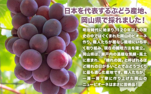 【先行予約】 岡山県産 ニューピオーネ詰合せ 選べる 計 1.2kg 株式会社はちや《6月下旬‐7月下旬頃出荷》岡山県 浅口市 ぶどう 葡萄 フルーツ ギフト 果物 デザート 国産 送料無料【配送不可地域あり】