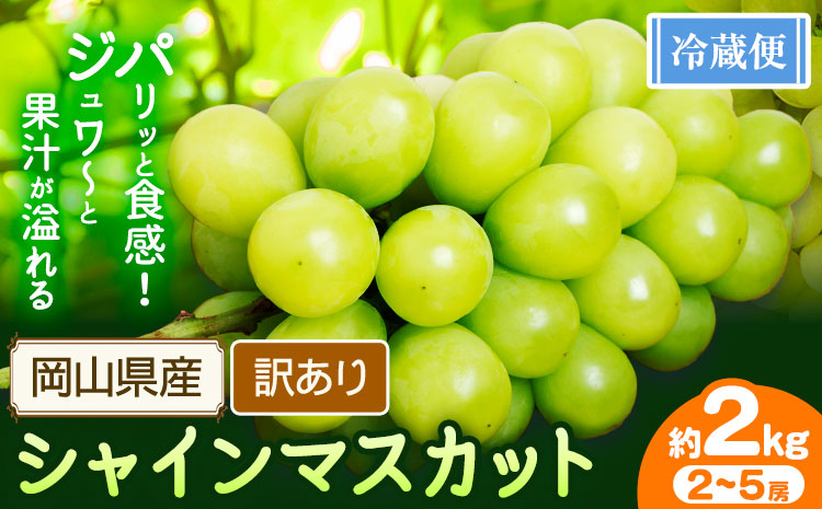 訳あり シャインマスカット 約2kg 2～5房 【配送不可地域あり】 花田青果株式会社《2026年9月上旬-10月末頃出荷》