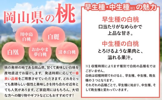 【先行予約】岡山県産 白桃ロイヤル ニューピオーネ 詰合せ 選べる 計800g 株式会社はちや《7月上旬‐8月下旬頃出荷》岡山県 浅口市 白桃 桃 ぶどう 葡萄 フルーツ ギフト 果物 デザート 国産【配送不可地域あり】