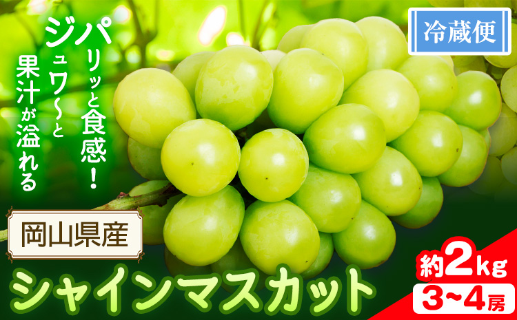 シャインマスカット 約2kg (3-4房)【配送不可地域あり】（北海道・沖縄・離島） 花田青果株式会社《9月上旬-10月末頃出荷》マスカット 送料無料 岡山県 浅口市 シャインマスカット ぶどう フルーツ 果物 贈り物 ギフトst-p