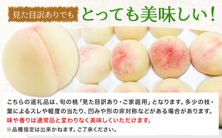 【令和7年度先行予約】桃 旬 旬の桃 ご家庭用 2kg (5～10玉) フルーツファーム岡山《2025年6月下旬-9月中旬頃出荷》岡山県 浅口市 送料無料 フルーツ モモ 果物 青果 旬 国産 岡山県産【配送不可地域あり】