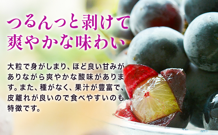 岡山çç£ ãã¥ãŒããªãŒã ãå®¶åºçš 1.2kg 2 ~ 3æ¿ ãã¬ãããšãã¡æ ªåŒäŒç€Ÿã8ææ«-10æäžæ¬é åºè·ãå²¡å±±ç æµ
å£åž ã¶ã©ã è¡è å€§ç² ææ± æç© ãã«ãŒã èš³ãã