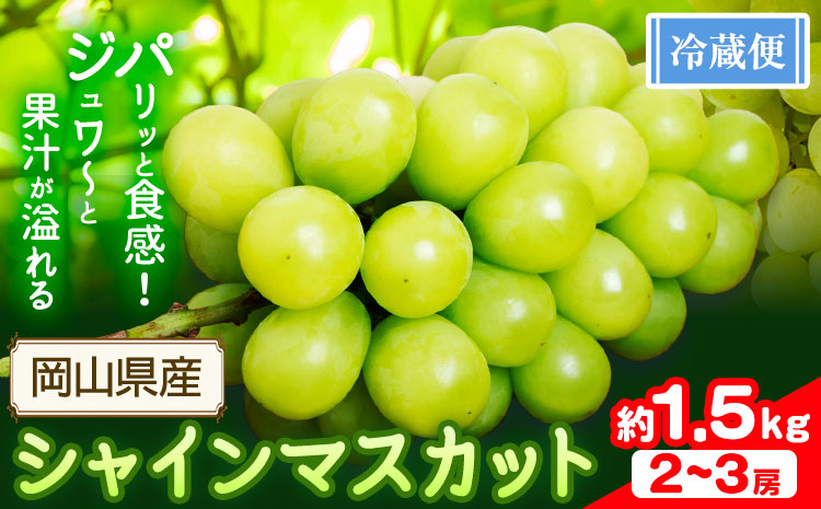 シャインマスカット 1.5kg(2-3房)【配送不可地域あり】 花田青果株式会社《2026年9月上旬-10月末頃出荷》マスカット 送料無料 岡山県 浅口市 シャインマスカット ぶどう フルーツ 果物 贈り物 ギフト