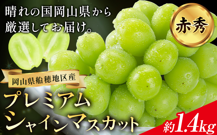 ぶどう 【2026年発送先行予約】プレミアム シャインマスカット 船穂 赤秀品 晴王 約1.4kg《2026年9月中旬-10月中旬頃出荷》晴レ乃青果　(岡山中央卸売市場店(富士紙工 有限会社))マスカット 送料無料 岡山県 浅口市 フルーツ 果物 贈り物 ギフト 国産 【配送不可地域あり】（北海道・沖縄・離島）