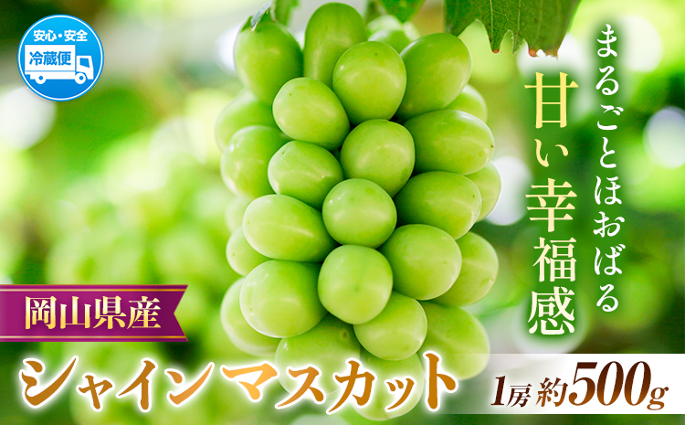 【2025年先行予約】岡山県産 シャインマスカット 約500g ( 1房 ) クール便 晴れの国 おかやま館(フルーツランド岡山) 《2025年8月下旬-10月中旬頃出荷》岡山県 浅口市【配送不可地域あり】（離島）