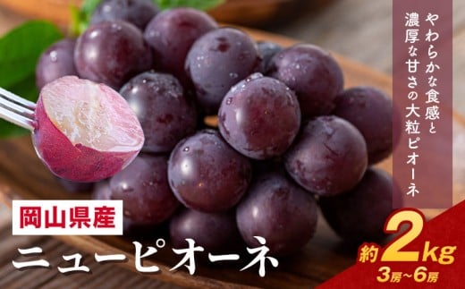 【先行予約】 岡山県産 ニューピオーネ詰合せ 選べる 計 2kg 株式会社はちや《8月下旬‐9月下旬頃出荷》岡山県 浅口市 ぶどう 葡萄 フルーツ ギフト 果物 デザート 国産 送料無料【配送不可地域あり】