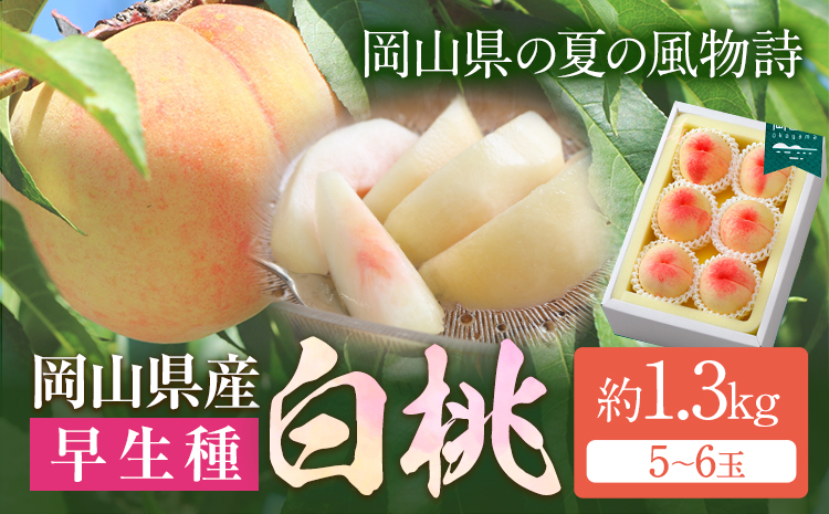 【令和7年度先行予約】岡山県産 白桃 （早生種） 約1.3kg （5〜6玉） クール便 晴れの国 おかやま館(漂流岡山) 《2025年7月上旬-8月中旬頃出荷》岡山県 浅口市 白桃 桃【配送不可地域あり】（離島）