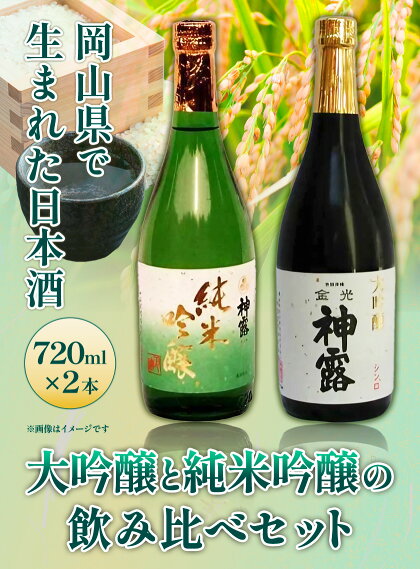 大吟醸と純米吟醸の飲み比べセット 神露 大吟醸 純米吟醸 720ml 各1本 計2本 《90日以内に出荷予定(土日祝除く)》 清酒神露醸造元 神露酒造株式会社 岡山県 浅口市 日本酒 酒 送料無料