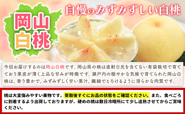 【2026年先行予約】桃 もも 岡山白桃 8〜10玉 約2kg 岡山県産 環山堂株式会社《2026年7月上旬-8月上旬頃出荷》岡山県 浅口市 白桃 果物 フルーツ 送料無料 【配送不可地域あり】（北海道・沖縄・離島）
